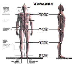 大人気の為増設しました！！驚異のエゴスキュー講座