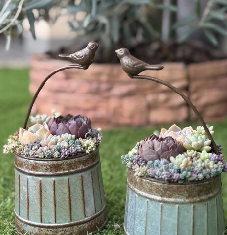 【新規講座のご案内】はじめてでも楽しい♪ぷっくりかわいい多肉の寄せ植え