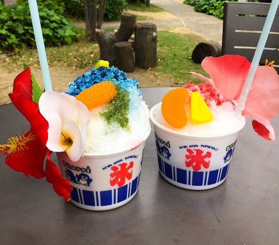 2026「夏休みこども＆親子1日講座」ラインナップ！