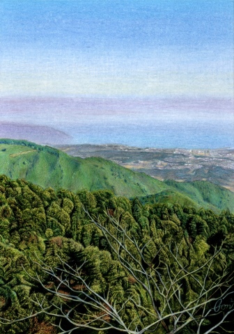 【大人気！】オンライン講座「大人の色鉛筆画教室」7～9月のお知らせ