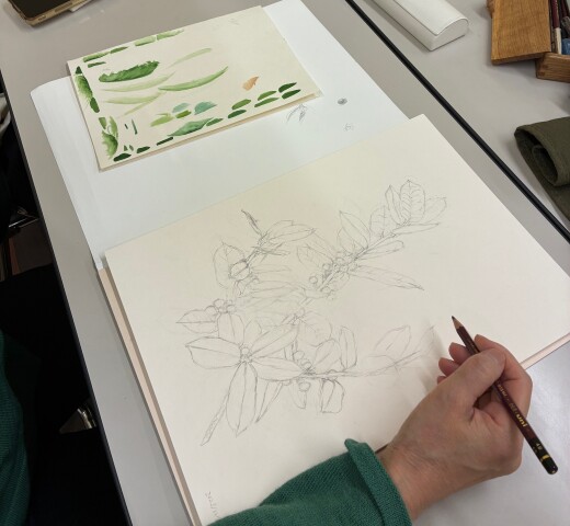 『ボタニカルアート』教室に潜入！！（11/26）