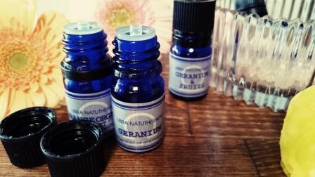 12月の入会金不要の1日講座・特別講座