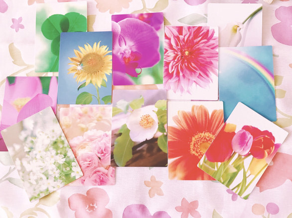 11月の入会金不要の1日講座・特別講座特別講座