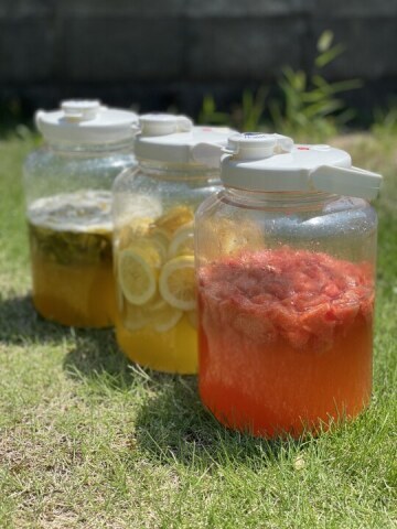 ５月入会金不要の1日講座・特別講座