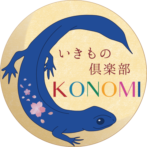 子どもたちに大人気！いきもの教室