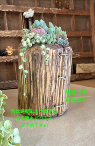 多肉植物寄せ植え