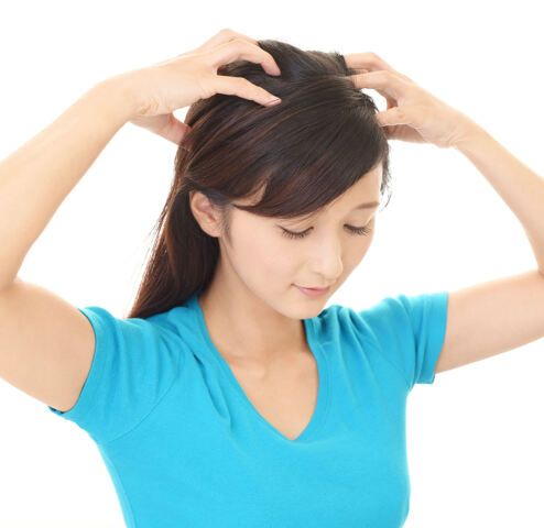 今月の1日認定取得講座＆1日講座