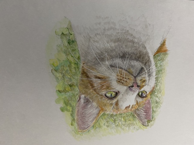 えんぴつ画