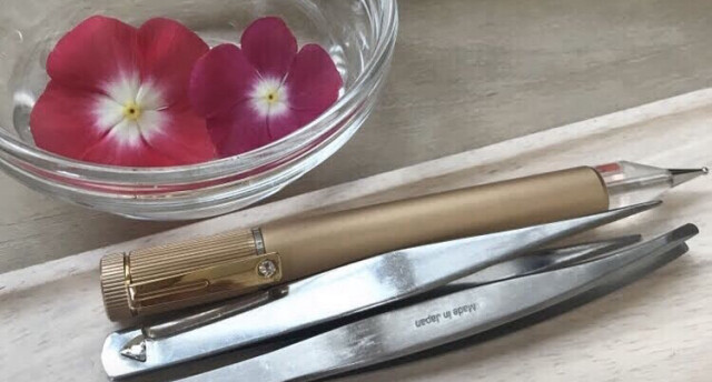 耳つぼ養成認定講座