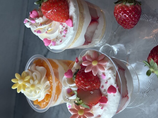 お子様向け！春の1DAY講座特集