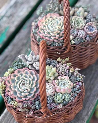 春の新規講座　ラインナップ