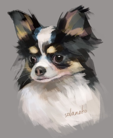 ※こども新講座※