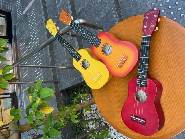 ♫～小さな楽器　始めませんか