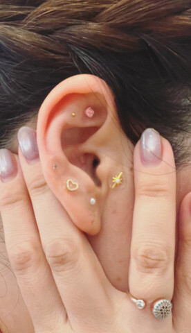 秋の講座案内チラシができあがりました