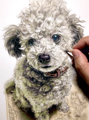 【"まるで写真"の絵が描ける！大人の色鉛筆画教室】増設クラスのお知らせ