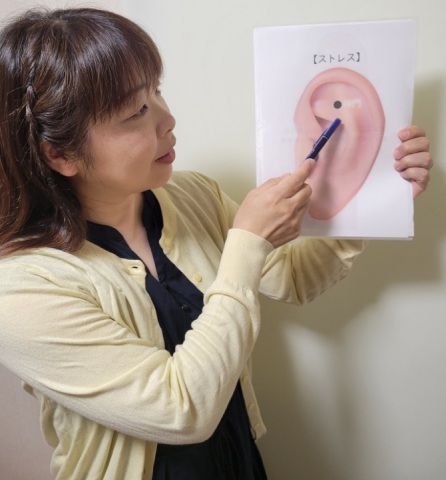 11月の入会金不要の1日講座・特別講座特別講座