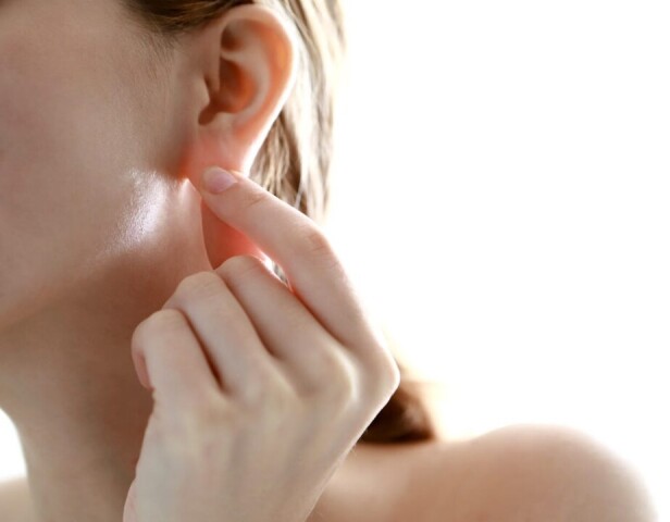 2026年1月の入会金不要の1日講座・特別講座