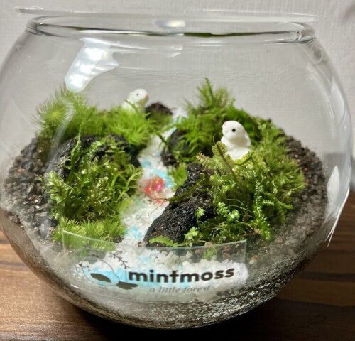 おすすめの1日講座のご紹介です。
