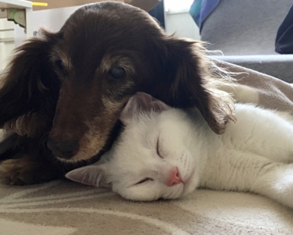 ☆5月の資格講座☆