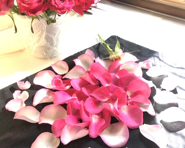 春の新講座特集