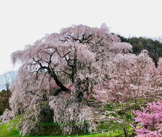 2026年春ご当地講座 お申込みスタートしました!