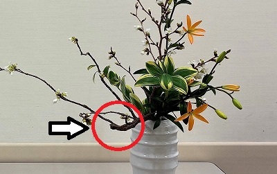 『いけばな小原流』受講生作品～第3弾～（3/28）