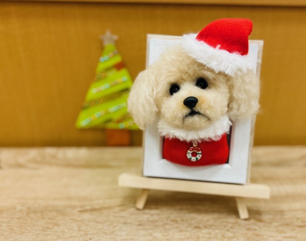 ペットと暮らすみなさまへ♪おすすめの特別講座