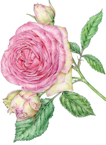 新講座19講座満載！！～秋チラシできあがりました！～