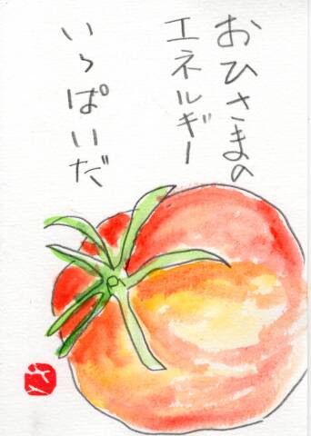夏休みの1日講座特集～♪