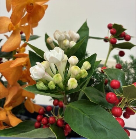 『いけばな小原流』受講生作品（12/20）