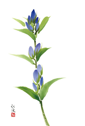 この春学べる書・アート講座