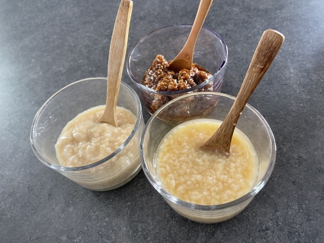 12月の入会金不要の1日講座・特別講座