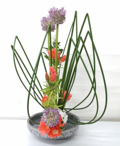 いつもよりぐっとお得に新講座を体験しちゃいましょう！！