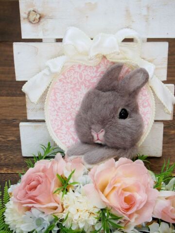 春の講座案内ができあがりました！