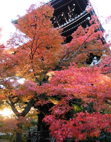 秋からの新講座ご紹介