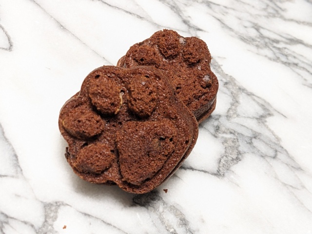  〜にゃんカル ^ ^ JEUGIA猫まつり講座ご紹介〜